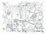 Rainforest Scene Coloring Pages Coloring Animals Coloring Pages Tropical Jungle and Page Kids