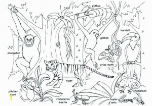 Rainforest Scene Coloring Pages Coloring Animals Coloring Pages Tropical Jungle and Page Kids