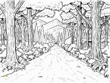 Rainforest Scene Coloring Pages forest Background Coloring Page