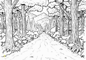 Rainforest Scene Coloring Pages forest Background Coloring Page