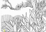 Rainforest Scene Coloring Pages Jungle Scene Coloring Pages Rainforest Animals Coloring Pages