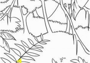 Rainforest Scene Coloring Pages Our Beautiful World A Lds Primary Coloring Page From Lds