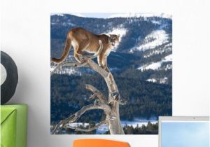 Ready Made Wall Murals Mountain Lion Dead Tree Wall Mural