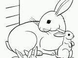 Real Baby Animal Coloring Pages Coloring Pages Baby Animals Az Coloring Pages