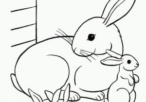 Real Baby Animal Coloring Pages Coloring Pages Baby Animals Az Coloring Pages