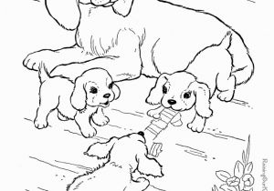 Real Baby Animal Coloring Pages Printable Cute Baby Animal Coloring Pages