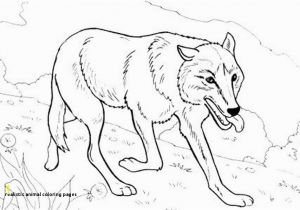 Realistic Animal Coloring Pages 26 Realistic Animal Coloring Pages