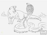 Realistic Animal Coloring Pages Printable Animal Coloring Book Pages Fresh Coloring Book and Pages