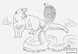 Realistic Animal Coloring Pages Printable Animal Coloring Book Pages Fresh Coloring Book and Pages