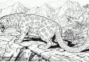 Realistic Animal Coloring Pages Realistic Animal Coloring Pages Pin by Paula Akers Adult Coloring