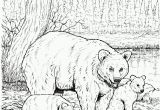 Realistic Animal Coloring Pages to Print Coloring Pages Realistic Ocean Animals Coloring Pages
