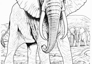 Realistic Animal Coloring Pages to Print Free Elephant Coloring Pages