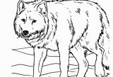 Realistic Animal Coloring Pages to Print Free Printable Realistic Animal Coloring Pages at