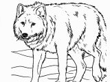 Realistic Animal Coloring Pages to Print Free Printable Realistic Animal Coloring Pages at