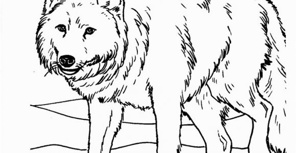 Realistic Animal Coloring Pages to Print Free Printable Realistic Animal Coloring Pages at