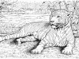 Realistic Animal Coloring Pages to Print Free Tiger Coloring Pages