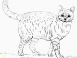 Realistic Animal Coloring Pages to Print Printable Realistic Animal Coloring Pages at Getcolorings