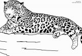 Realistic Animal Coloring Pages to Print Realistic Jaguar Animal Coloring Pages