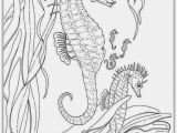 Realistic Animal Coloring Pages to Print Realistic Seahorse Coloring Pages for Adult