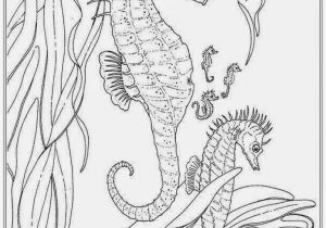 Realistic Animal Coloring Pages to Print Realistic Seahorse Coloring Pages for Adult