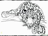 Realistic Animal Coloring Pages to Print Realistic Wild Animal Coloring Pages at Getcolorings