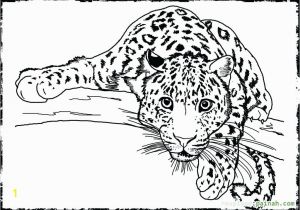 Realistic Animal Coloring Pages to Print Realistic Wild Animal Coloring Pages at Getcolorings