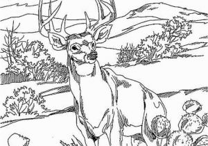 Realistic Animal Coloring Pages to Print Realistic Wild Animal Coloring Pages at Getdrawings