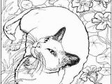 Realistic Cat Coloring Pages 18fresh Realistic Animal Coloring Pages Clip Arts & Coloring Pages