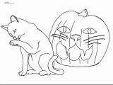 Realistic Cat Coloring Pages 2018 Coloring Pages Animals Realistic Katesgrove