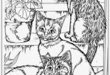 Realistic Cat Coloring Pages 26 Realistic Animal Coloring Pages