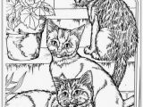 Realistic Cat Coloring Pages 26 Realistic Animal Coloring Pages