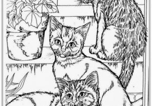 Realistic Cat Coloring Pages 26 Realistic Animal Coloring Pages