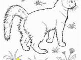 Realistic Cat Coloring Pages Cat Color Pages Printable