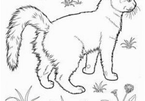 Realistic Cat Coloring Pages Cat Color Pages Printable