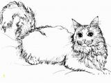 Realistic Cat Coloring Pages Image Cat Coloring Pages top 20 Free Printable Cat