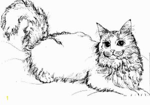 Realistic Cat Coloring Pages Image Cat Coloring Pages top 20 Free Printable Cat