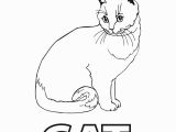 Realistic Cat Coloring Pages Realistic Cat Coloring Sheets Nazly