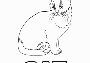 Realistic Cat Coloring Pages Realistic Cat Coloring Sheets Nazly