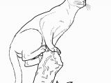 Realistic Cat Coloring Pages Realistic Cat Coloring Sheets Nazly