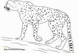 Realistic Cheetah Coloring Pages 20 Fresh Cheetah Coloring Pages