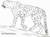 Realistic Cheetah Coloring Pages 20 Fresh Cheetah Coloring Pages