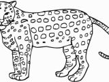 Realistic Cheetah Coloring Pages 20 Fresh Cheetah Coloring Pages