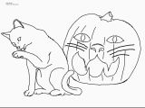 Realistic Cheetah Coloring Pages Cheetah Coloring Pages Gallery thephotosync