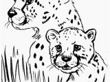 Realistic Cheetah Coloring Pages Cheetah Coloring Pages Lovely Best 12 Luxury Free Printable