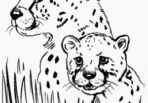 Realistic Cheetah Coloring Pages Cheetah Coloring Pages Lovely Best 12 Luxury Free Printable