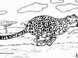 Realistic Cheetah Coloring Pages Cheetah Coloring Pages Lovely Best 12 Luxury Free Printable