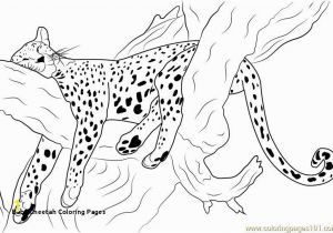 Realistic Cheetah Coloring Pages Cheetah Coloring Pages Lovely Best 12 Luxury Free Printable