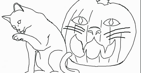 Realistic Coloring Pages Of Animals 2018 Coloring Pages Animals Realistic Katesgrove