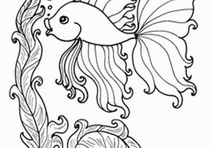 Realistic Coloring Pages Of Animals Ocean Animals Coloring Pages 13w Fresh Sea Fish Best S Media Cache