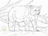 Realistic Coloring Pages Of Animals Realistic American Black Bear Coloring Page